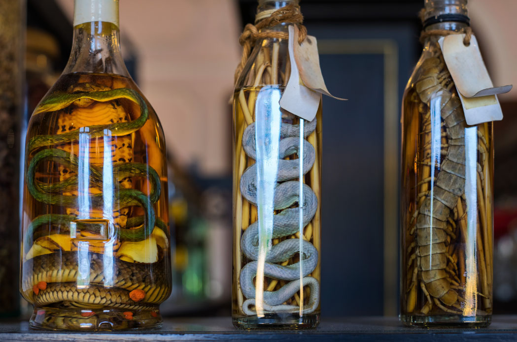 Snake-Wine